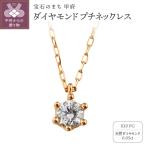 K10 1粒