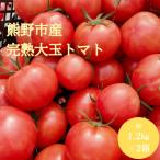 熊野薬草園の大玉トマト 1.2kg×2箱