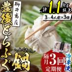 <定期便 3回 隔月 >豊後とらふぐ