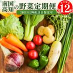 高知から直送 旬の季節のお野菜セット 7~9品