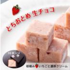 とちおとめ 生チョコレート 16粒入り
