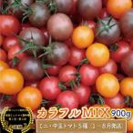 <900g>カラフルトマト5種MIX