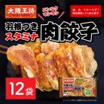 ふるさと納税 板倉町 大阪王将 羽根つきスタミナ肉餃子 12袋セット|13_nnb-031201