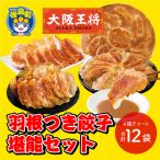 ふるさと納税 板倉町 大阪王将 羽根つき餃子堪能セット(4種アソート)計12袋|13_nnb-060101