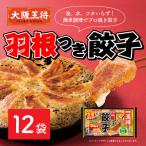 ふるさと納税 板倉町 大阪王将 羽根つき餃子12袋セット|13_nnb-011201