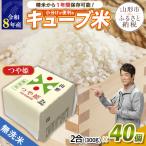 山形産無洗米キューブつや姫 雪若丸詰合せ300g×40