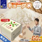 山形産 無洗米キューブ米つや姫300g×60個