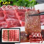 山形牛焼肉セット500g ヒレ ロース FZ20-009