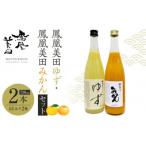 ふるさと納税 栃木市 鳳凰美田ゆず・鳳凰美田みかんセット