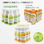 つぶらなカボス&amp;つぶらなユズ&amp;ふるさとの味みかん…