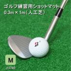 アイリスソーコー ゴルフショットマット
