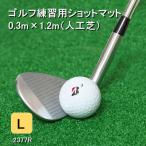 アイリスソーコーゴルフショットマット