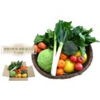 はちきんの店 野菜セット 7~10品 野菜詰め合わせ