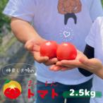 仲良し夫婦のま~るんトマト 2.5kg
