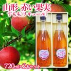 山形 赤い果実 すもも リキュール 720ml×2本セット