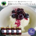 清水さんちのブルーベリージャム