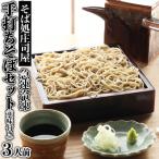 急速冷凍 手打ちそばセット 薬味付き FZ22-396