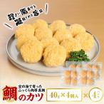 S106-028_鯛のかつ 4パック