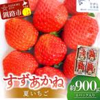 ショッピングふるさと納税 先行予約 ふるさと納税 釧路市 先行予約!【2026年6月末から順次発送】すずあかね(M〜L) 約900g F4F-4623
