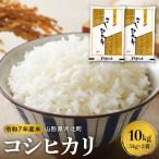 ふるさと納税 河北町 【令和7年産米】2026年3月下旬発送 コシヒカリ10kg  山形県産 【米COMEかほく】