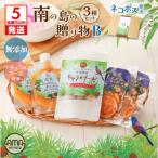 南の島の3種セットB