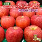 ふるさと納税 山形市 完熟無袋栽培ふじりんご 特選大玉秀品5kg入り FY25-900