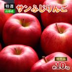 ふるさと納税 山形市 【特選】山形のサンふじりんご 約10kg 特秀品(20〜50玉) FZ19-141