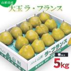 大玉ラ フランス 秀 以上 5kg