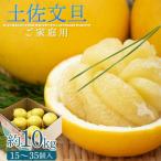 ふるさと納税 香南市 【令和9年1月下旬発送開始】土佐文旦 家庭用 約10kg ku-0058