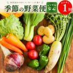 高知から直送 旬の季節のお野菜セット 7~9品