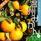 土佐の高知のくだもの畑 みかん 10kg