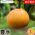 ショッピングふるさと納税 梨 ふるさと納税 三条市 先行受付 和梨 豊水 約3kg 令和8年度 しなのがわジューシーファーム 【010S479】