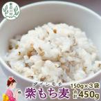 東 紫もち麦 ダイシモチ 150g×3袋