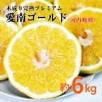 愛南ゴールド 河内晩柑 6kg