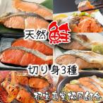 天然鮭切り身3種 紅鮭 沖獲れ鮭 秋鮭 G-18011