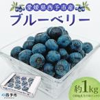 < ブルーベリー 約1kg