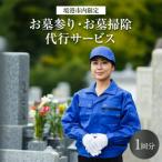 お墓参りお墓掃除代行サービス 1回分