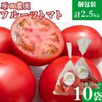 〈2026年12月下旬~ 〉秀品フルーツトマト