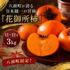 Y272 が誇る日本随一の甘柿 花御所柿 3kg