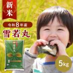 はえぬき5kg