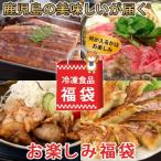 ふるさと納税 薩摩川内市 【お楽しみ福袋B】鹿児島の美味しいが届く!5品以上 AS-086