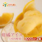 ふるさと納税 愛南町 