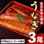 ふるさと納税 肝付町 うなぎ蒲焼・大(有頭)(3尾・計480g以上、タレ、山椒付) B57002