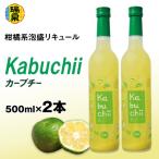 瑞泉酒造 カーブチー 500ml×2本