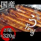 うなぎ 蒲焼 特大 2尾
