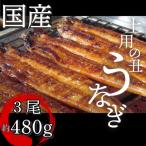 特上うなぎ 蒲焼 3尾