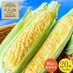 朝どり とうもろこし 20本