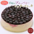 山形のブルーベリーレアチーズケーキ 1個