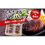 とちぎまるごとハンバーグ150g 6食