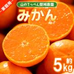 温州みかん 5kg